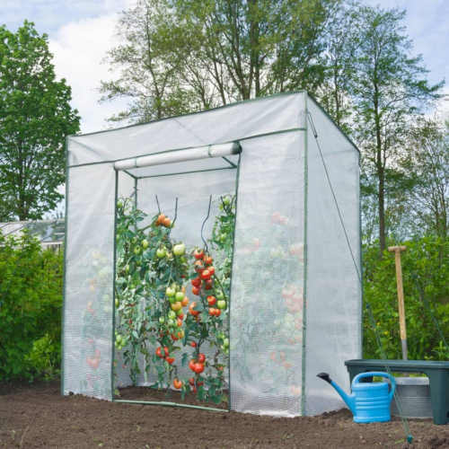 Užitočný fóliový kvetináč na pestovanie paradajok