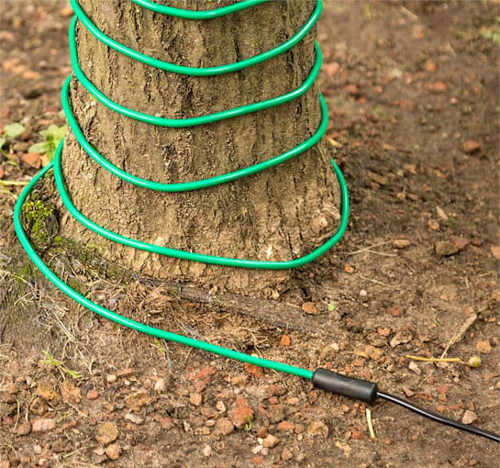 Vykurovací kábel na prezimovanie paliem v záhrade